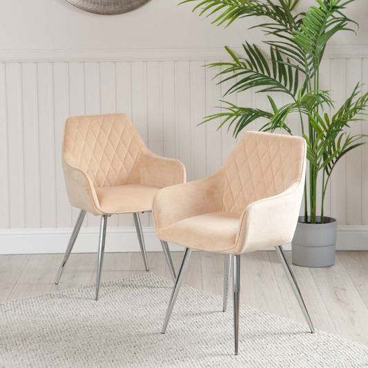 Quinn Dining Chair (set of 2)